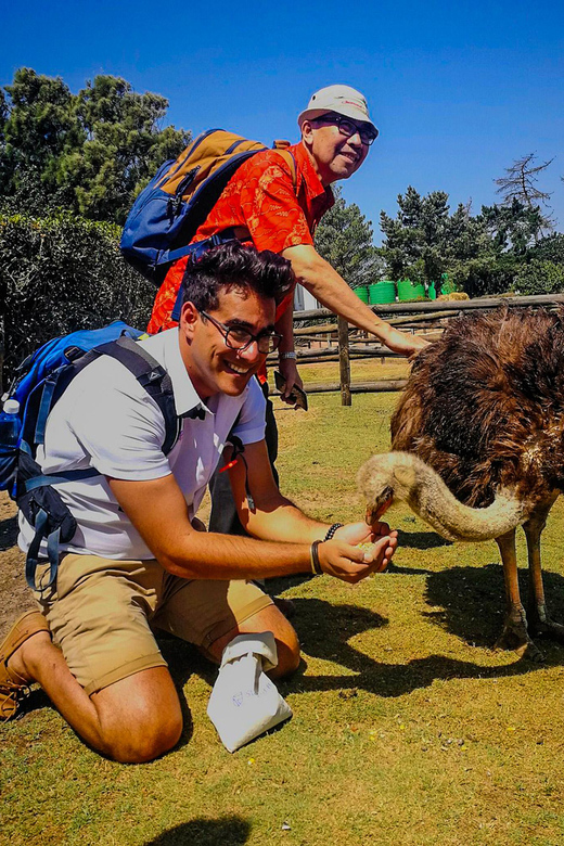 CAPE TOWN: OSTRICH RANCH QUAD BIKE RIDE & OSTRICH TOUR - Frequently Asked Questions