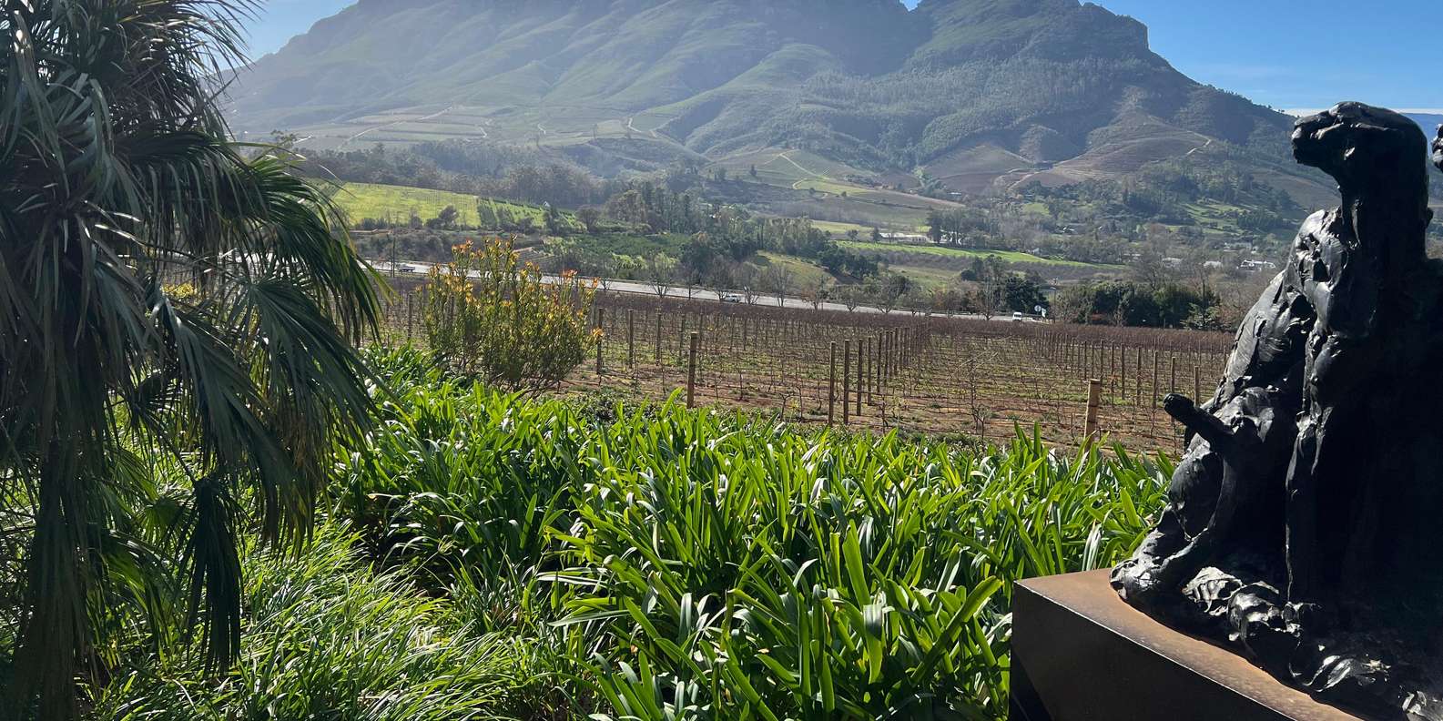 Cape Town: Stellenbosch & Franschhoek Private Wine Tour - The Sum Up