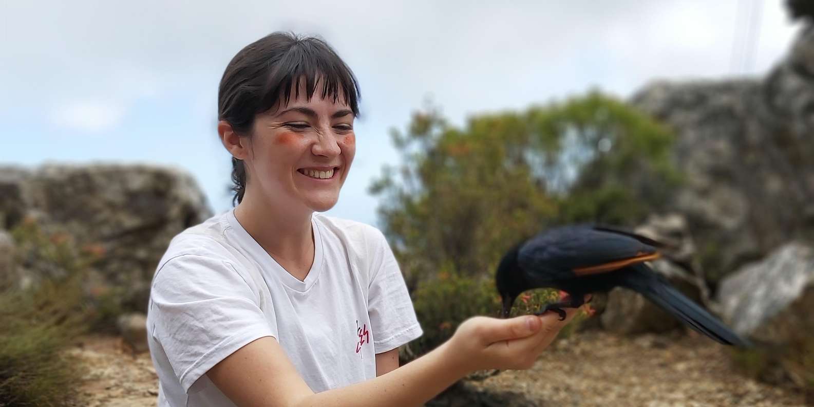 Cape Town: Table Mountain Famous Fynbos Flower Walk - Frequently Asked Questions