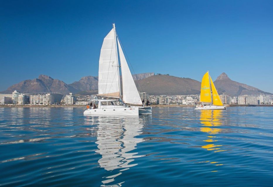 Cape Town: V&A Waterfront Champagne Cruise - Why Choose This Cruise