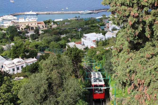 CAPRI - DIY Day Trip Package - BoatTour, BlueGrotto,Bus&Lunch - Lunch and Dining Options
