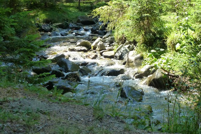 Carpathians in Romania: Bucegi Natural Park With Native Spanish Guide. - Preparing for the Physical Challenge