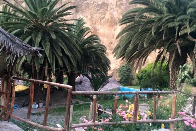 Colca Trek 3 Days - Pricing and Cancellation Policy