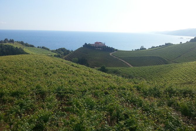 Countryside & Coast Private Tour - Booking Information