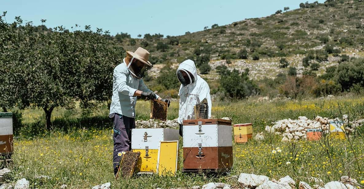 Crete: Melidoni Cave, Honey, Olive Oil & Reptisland - Frequently Asked Questions