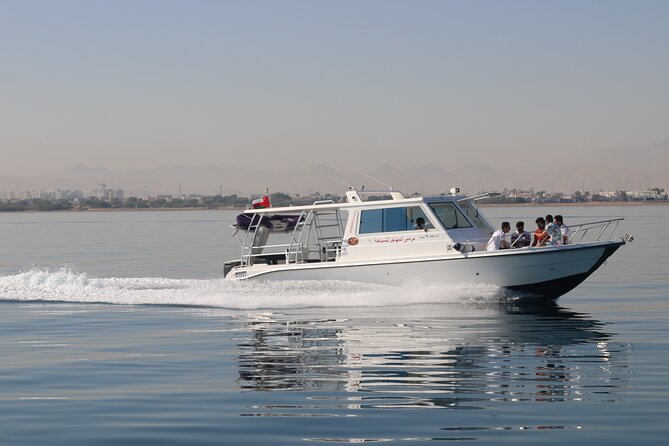 Cruises to Daymaniyat & Snorkeling - Tips for Travelers