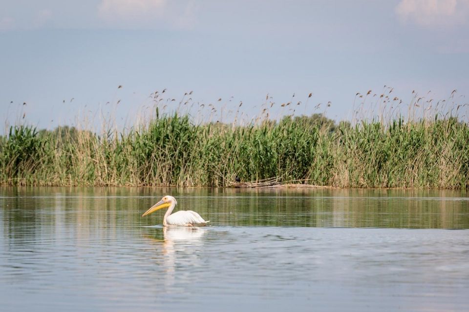 Danube Delta - 2-Day Tour From Bucharest - Booking and Cancellation Policy