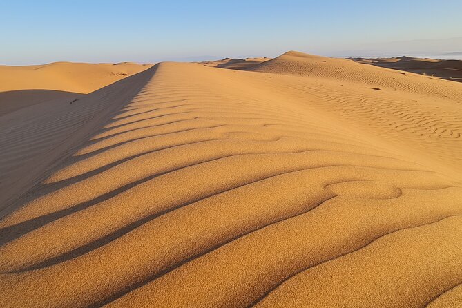 Day Tour to Wahiba Sands Desert and Wadi Bani Khalid (Desert Safari) - Traveler Testimonials