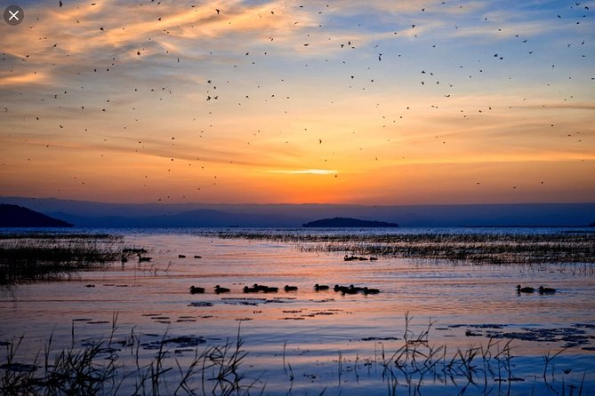 Day Trip To Lake Ziway - Planning Your Visit