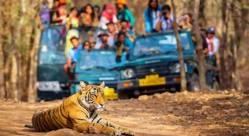 Delhi: Private 5 Days Golden Triangle Tour With Tiger Safari - Booking Flexibility