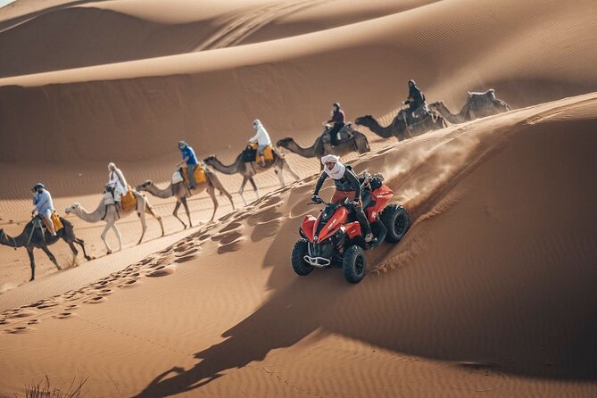 Desert Safari Qatar - Tips for a Great Experience