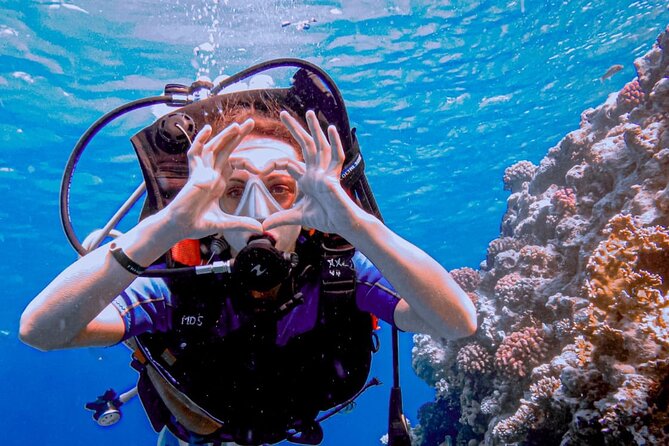Discover Scuba Diving Sharm El Sheikh - Next Steps for Aspiring Divers