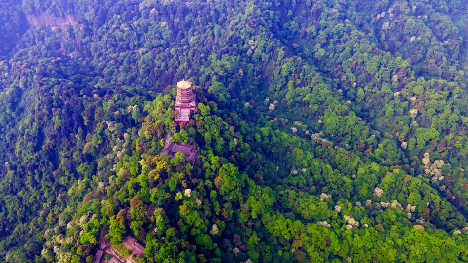 Dujiangyan: Irrigation System & Qingcheng Mountain Day Tour - Discover Qingcheng Mountain