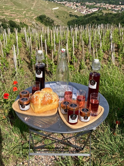 DUO PARENTS CHILDREN WINE CÔTE-RÔTIE TOUR VISIT - Cancellation Policy