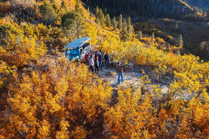 East Zion Brushy Cove Jeep Tour - Tips for a Great Tour Experience