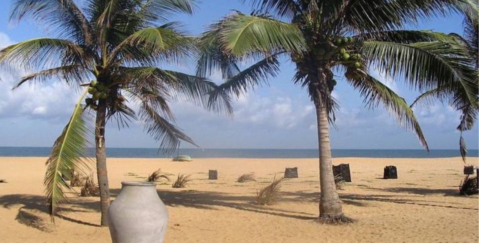 Enjoy a 5-Day Getaway to the Golden Sands of Negombo - Included Services and Important Information