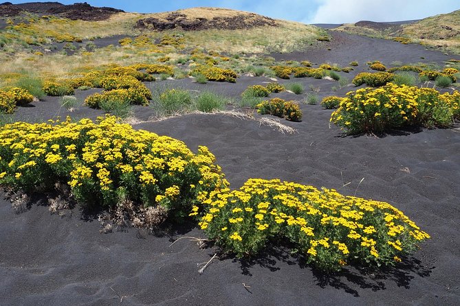 Etna in 4x4 & Sicilian Food Experience. Private Tours - Highlights of the Tour