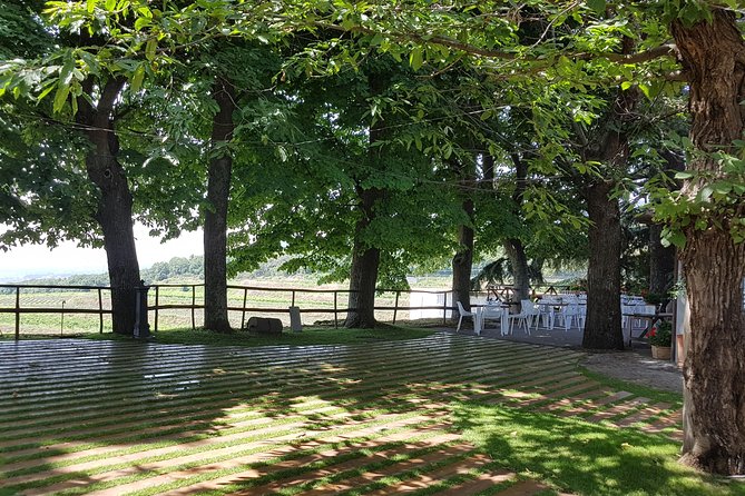 Etna Scenic Tour & Wine Experience (Day Trip) - Sum Up