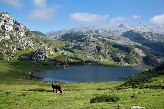 Excursion to Lakes of Covadonga and Cangas De Onís From Oviedo - Cancellation and Confirmation