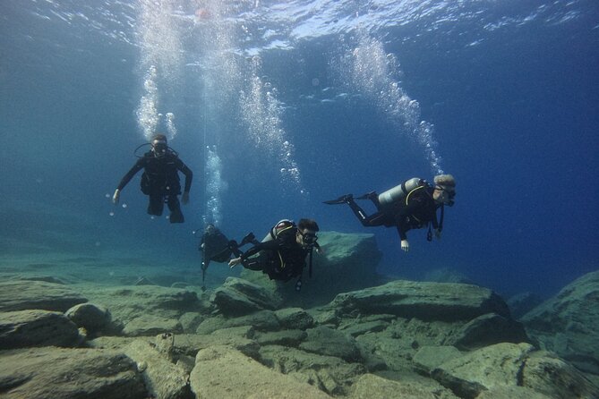 Experience Scuba Diving in Heraklion Crete - Unparalleled Marine Life Exploration