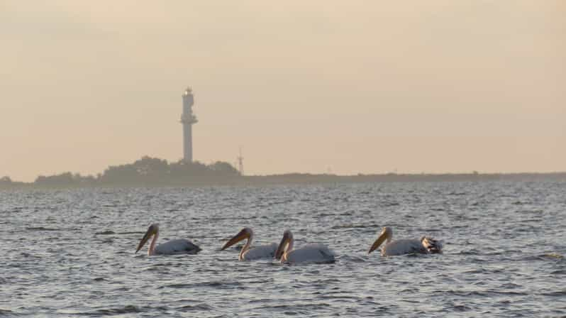 Exploring the Magic of the Danube Delta Through Photo Lenses - The Sum Up