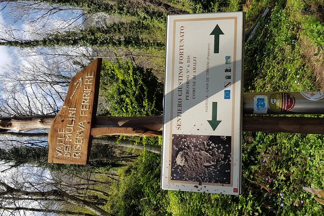 Ferriere Waterfalls Walk - Amalfi and Ravello Coast - Group Size and Fitness Level