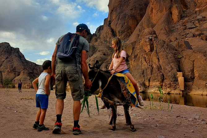 Fint Oasis Private Day Hike - Traveler Reviews and Recommendations