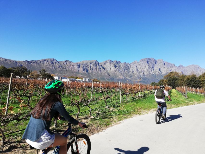 Franschhoek: Private E-bike Ride & Wine Experience - Customer Feedback and Ratings