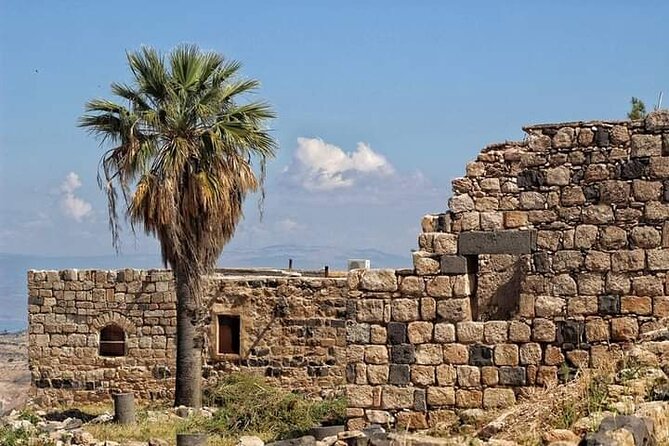 From Amman: Private Full Day Tour Jerash Ajloun & Um Qais - Tips for Your Tour
