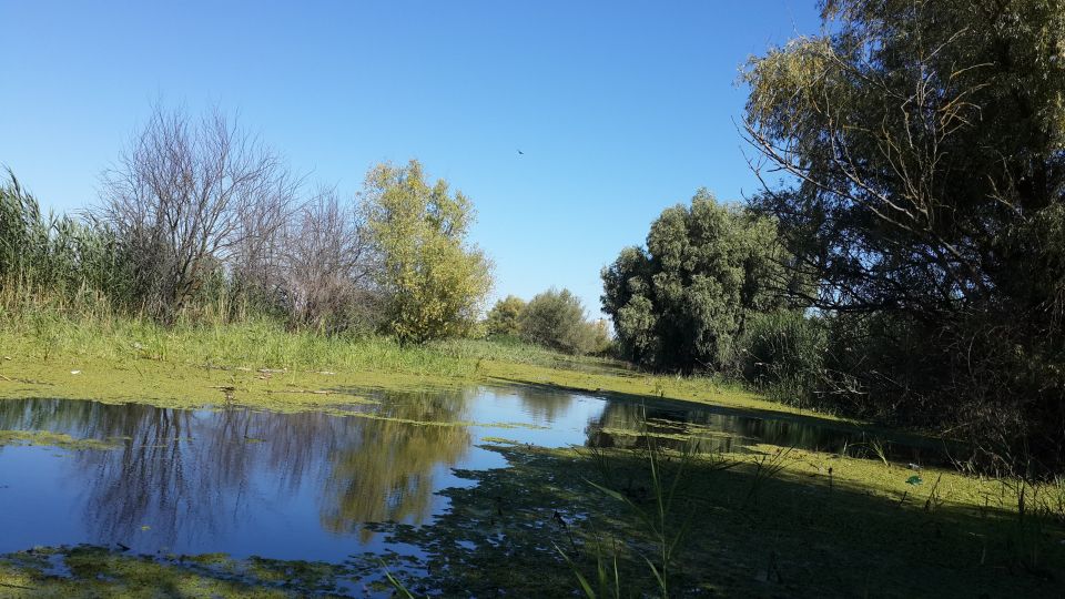 From Bucharest: 3-Day Danube Delta Birdwatching Private Tour - Booking and Cancellation Policy