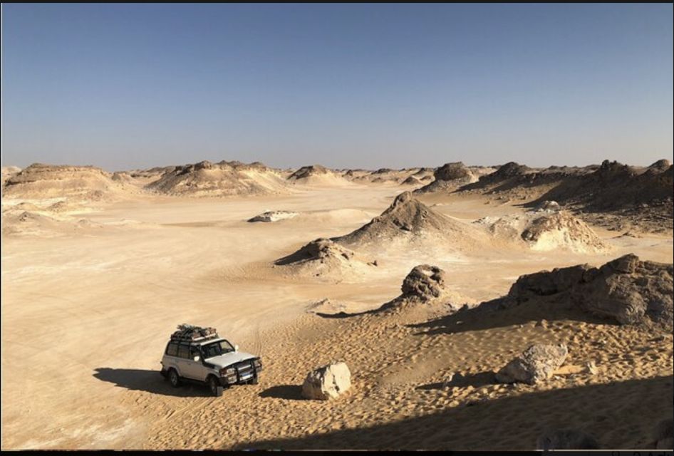 From Cairo: Bahariya Oasis and Black and White Desert Tour - Additional Information and Contacts