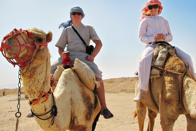 From Cairo: Desert Safari, Waterfalls, Sand Boarding and Camel Ride With Lunch - Pricing and Booking Options