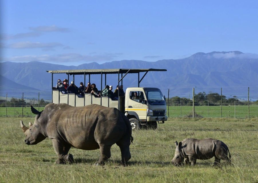 From Cape Town: 2-Day Wildlife and 4x4 Safari Experience - Getting to and From the Safari