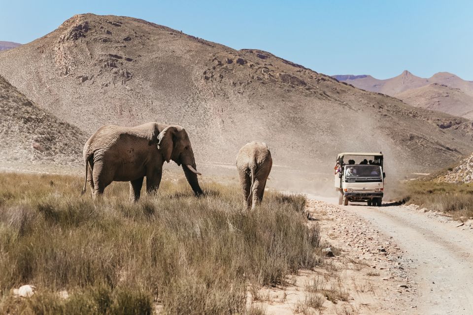 From Cape Town: Round-Trip to Aquila With Game Drive - Frequently Asked Questions