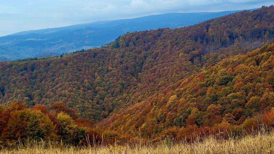 From Cluj-Napoca: Apuseni Mountains Hiking Guided Day Tour - Nearby Attractions