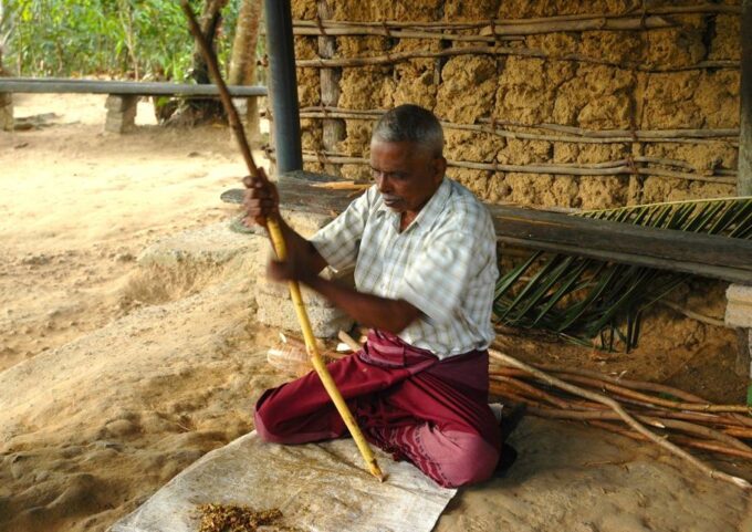 From Colombo/Negombo : Bentota & Galle Day Trip - Inclusions, Costs, and Feedback