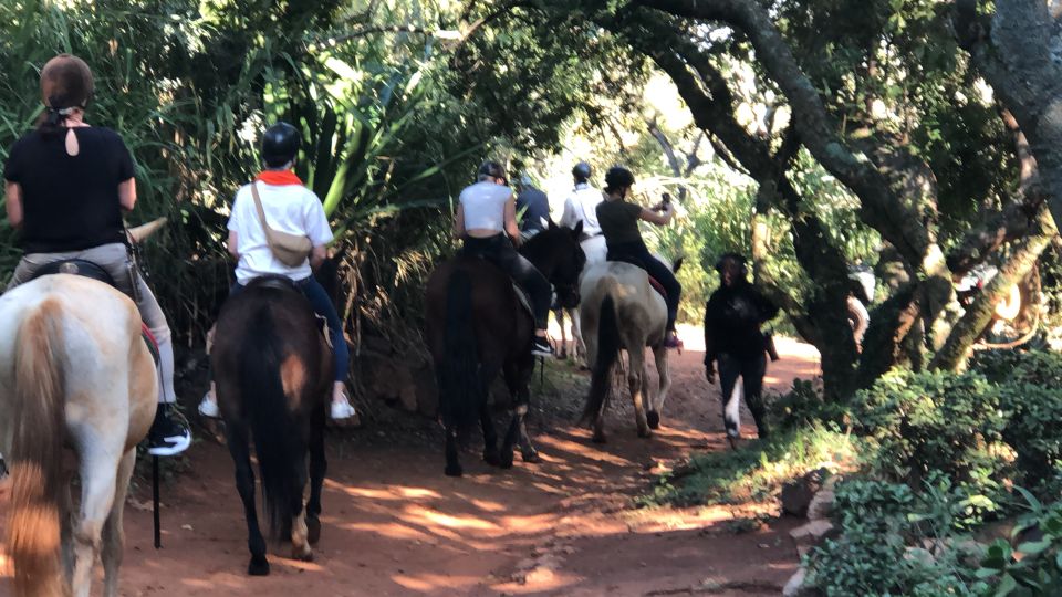 From Johannesburg: Horse-Riding Safari and Cable Car Tour - Customer Feedback