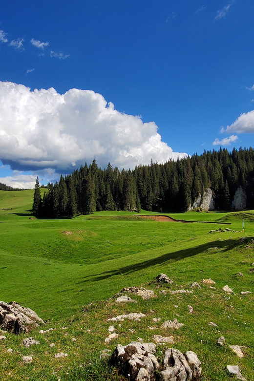 From Oradea:Carpathian Mountains Guided Scenic Hike - The Sum Up