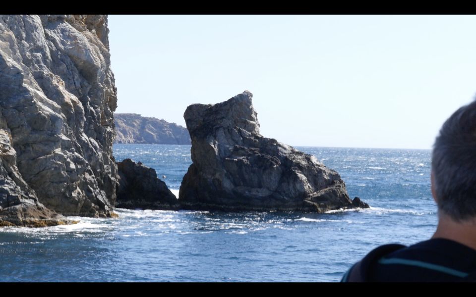 From Roses: Cadaqués Catalonian Coast Boat Tour - Highlights of the Boat Tour