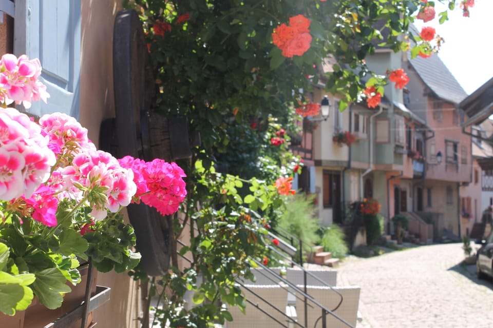 From Strasbourg: Half-Day Tour of Alsace Villages - Experiencing Andlaus Charms