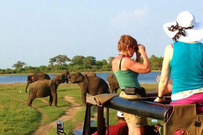 From Udawalawe :-National Park Thrilling Half-Day Safari - Convenient Booking and Cancellation