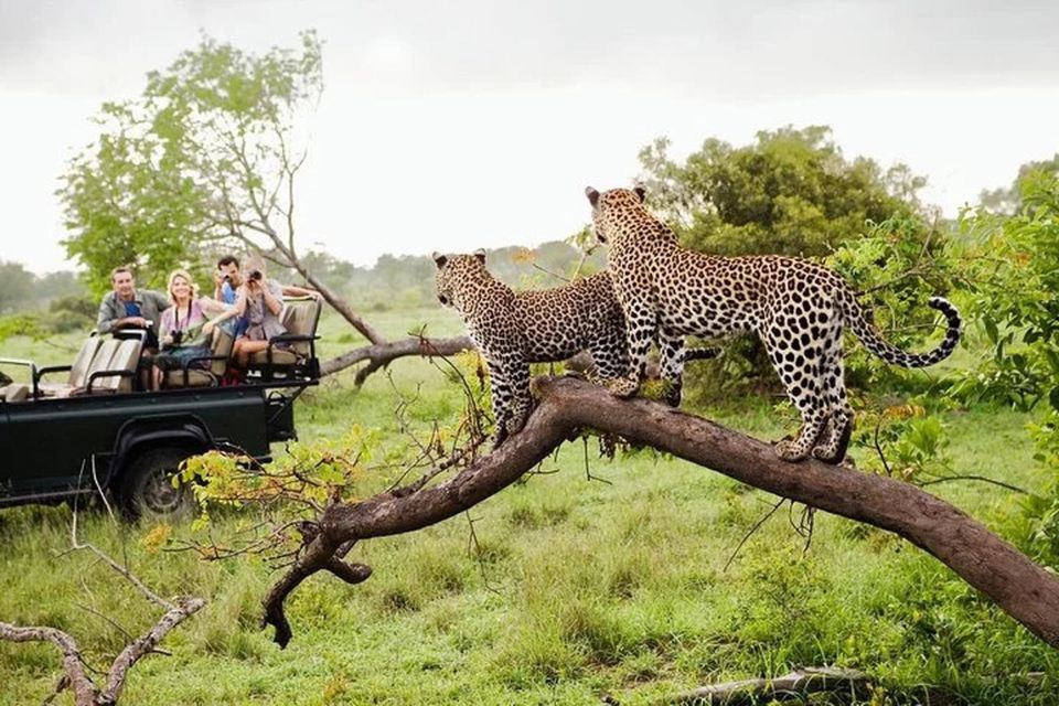 From Yala :- Yala National Park Thrilling Full - Day Safari - Booking and Availability