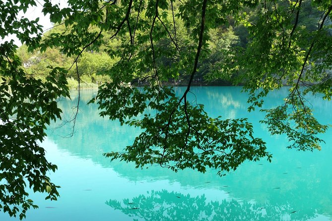 From Zadar: Plitvice Lakes Guided Day Tour With Tickets - Additional Information