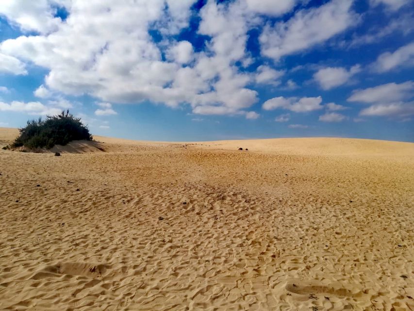 Fuerteventura: Corralejo Sand Dunes for Cruise Passengers - Packing Essentials