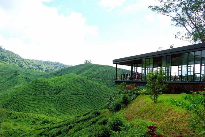 Full-Day Cameron Highlands Day Trip From Kuala Lumpur - Tips for a Successful Trip