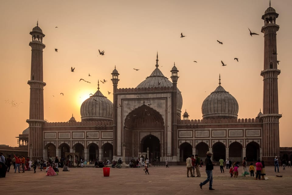 Full Day Delhi Tour by Tuk Tuk With Guide - The Sum Up