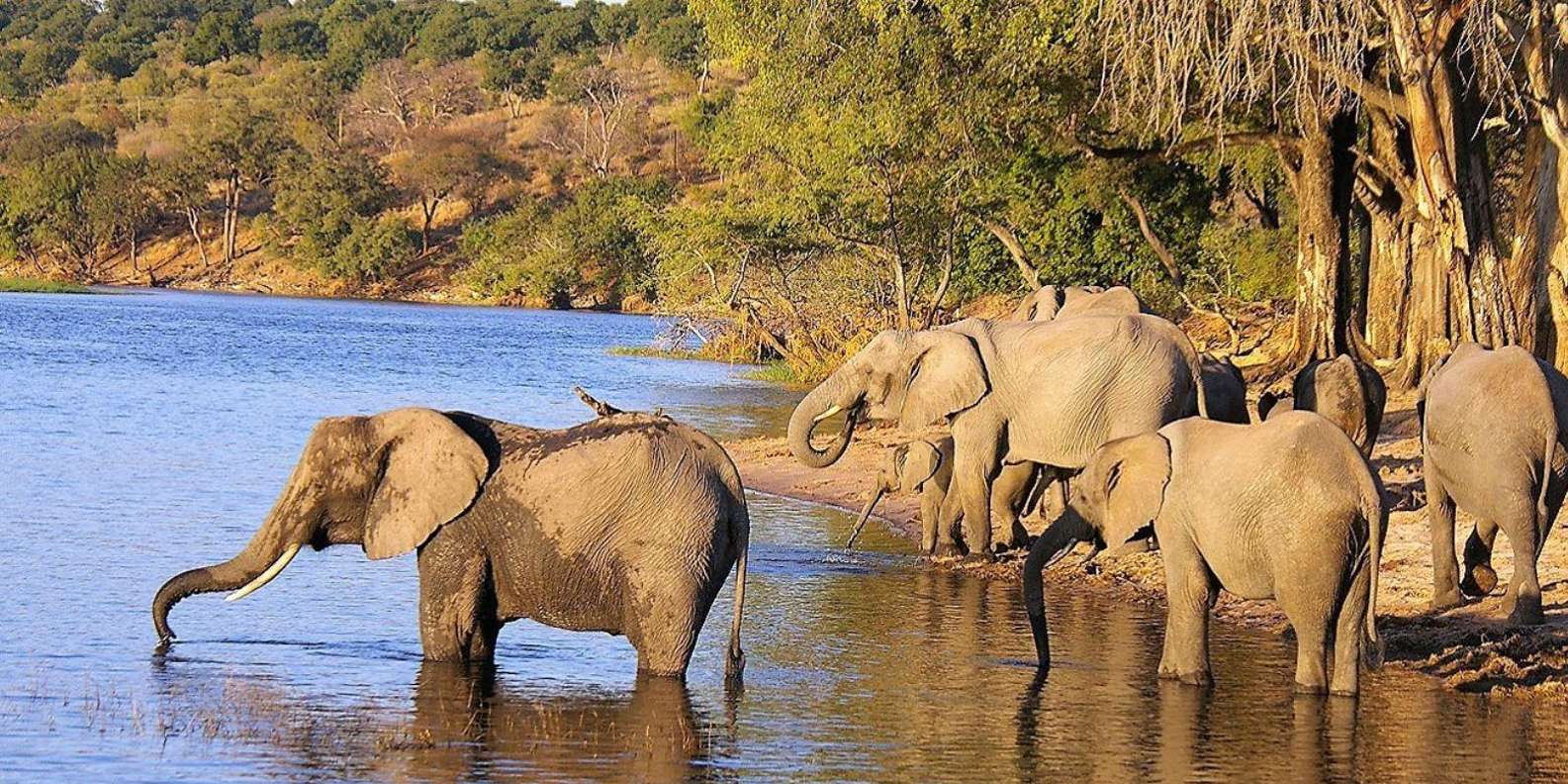 Full Day Hluhluwe Imfolozi Game Reserve Tour From Durban - Frequently Asked Questions