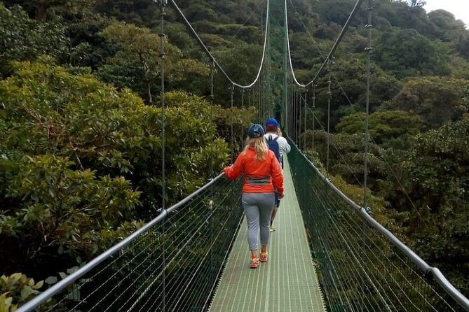 Full Day to Monteverde From San Jose With Canopy and Reptil Amphibians Watching - Ziplining Experience
