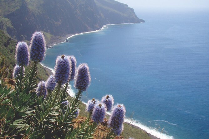 Full Day Tour of the West Zone of Madeira - Tour Reviews and Ratings