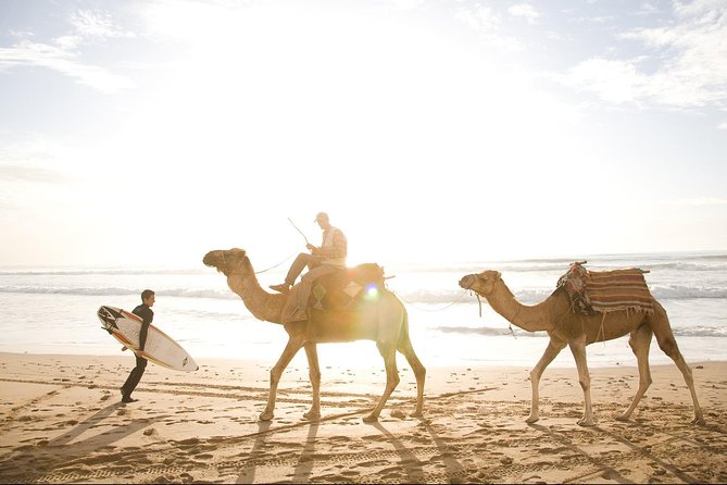 Full-Day Tour to Essaouira - the Ancient Mogador City From Marrakech - Booking Information and Pricing